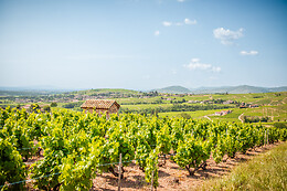 Domaine Steeve Charvet