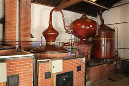 Domaine Raymond Bossis