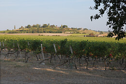 Domaine Raymond Bossis