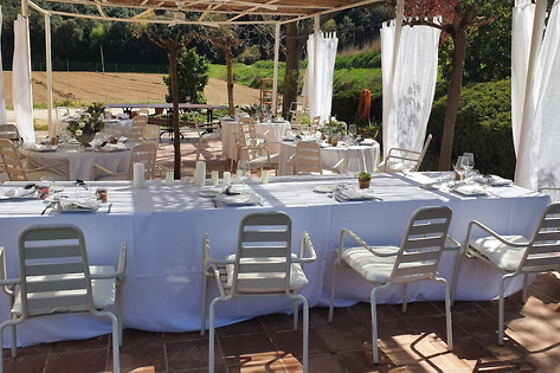 HOTEL MASIA PALMA - photo 9