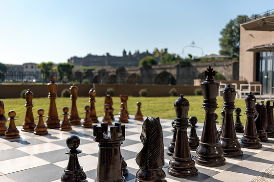 Séjour bien-être pour 2 à l'Hôtel du Roi & Spa by Sowell Collection à Carcassonne (11)