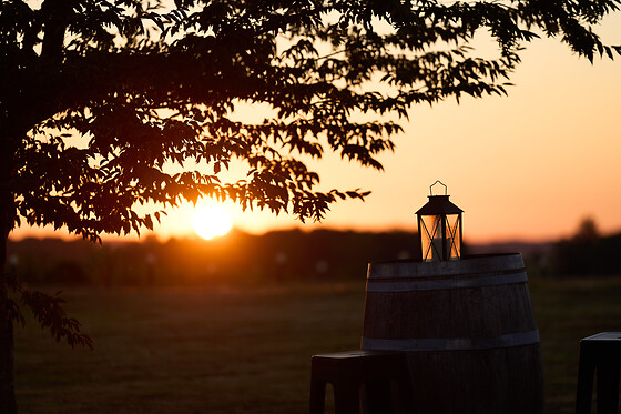 Domaine du Bédat - photo 1