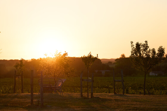 Domaine du Bédat - photo 2