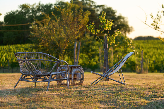 Domaine du Bédat - photo 12