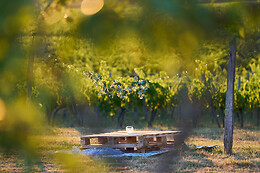 Domaine du Bédat