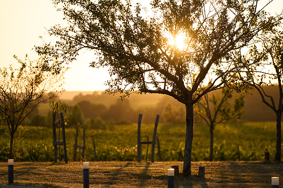 Domaine du Bédat - photo 14