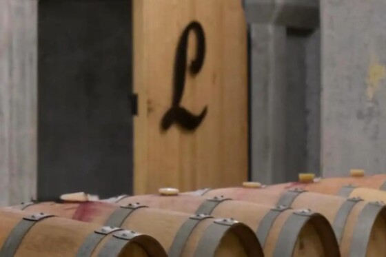 Domaine du Château Larroque - photo 0