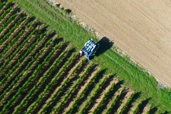 Domaine du Château Larroque - photo 1