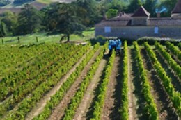 Domaine du Château Larroque