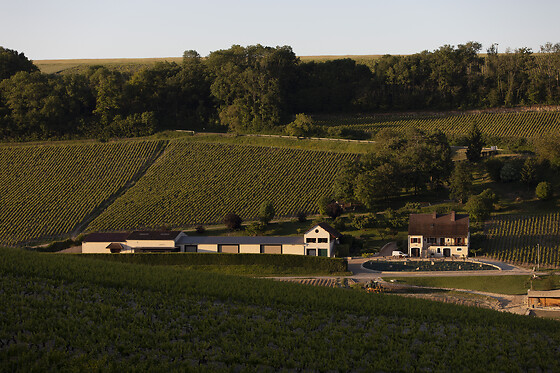 Domaine Gautheron Alain Et Cyril - photo 0