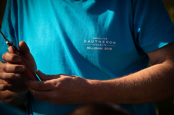 Domaine Gautheron Alain Et Cyril - photo 7