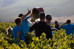 Domaine Gautheron Alain Et Cyril
