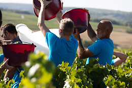 Domaine Gautheron Alain Et Cyril