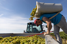 Domaine Gautheron Alain Et Cyril