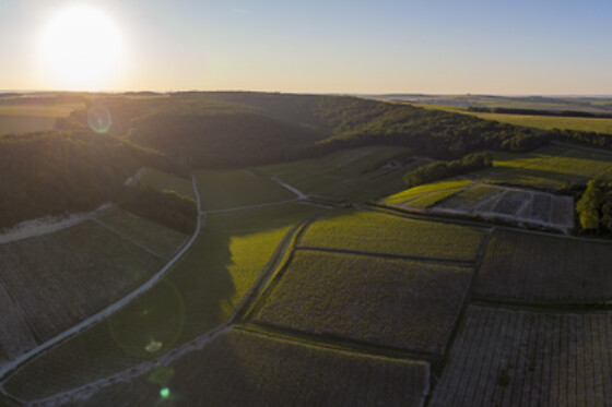 Domaine Gautheron Alain Et Cyril - photo 12