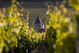 Domaine Gautheron Alain Et Cyril