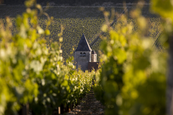 Domaine Gautheron Alain Et Cyril - photo 19