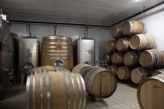 Domaine Gautheron Alain Et Cyril - photo 17