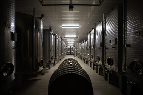 Domaine Gautheron Alain Et Cyril - photo 14