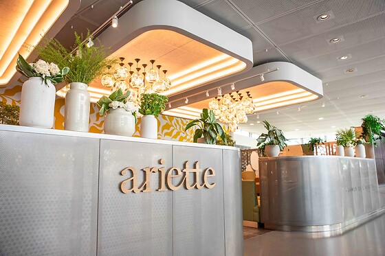 Ariette - photo 1