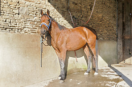 Marie France Home