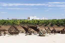 Tenuta Yala
