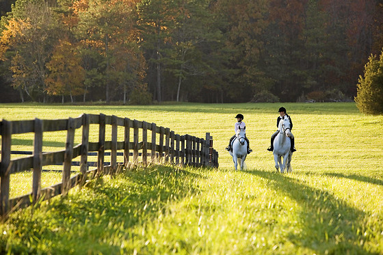 Centre Equestre les Onglous - photo 5