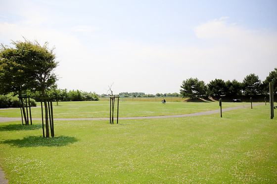 Corsendonk Duinse Polders - photo 15