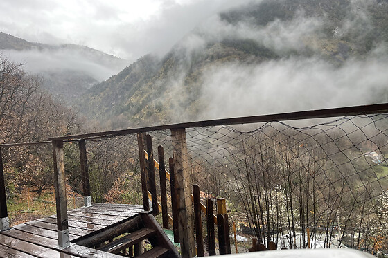 Les Ecrins de Belvedere - photo 2