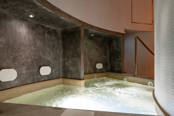 HOTEL MACIA REAL DE LA ALHAMBRA - photo 12