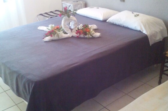 Online Booking EPS - photo 5