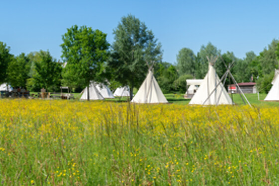 Les tipis du bonheur de vivre - photo 12