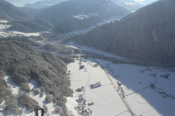 Les Volatiles - photo 9