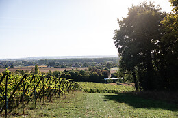 Arpents du Soleil