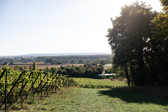 Arpents du Soleil - photo 1