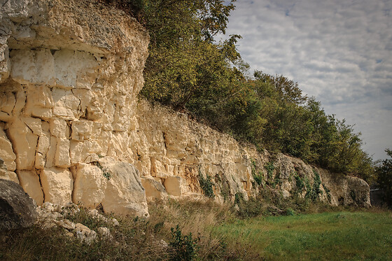 Arpents du Soleil - photo 4