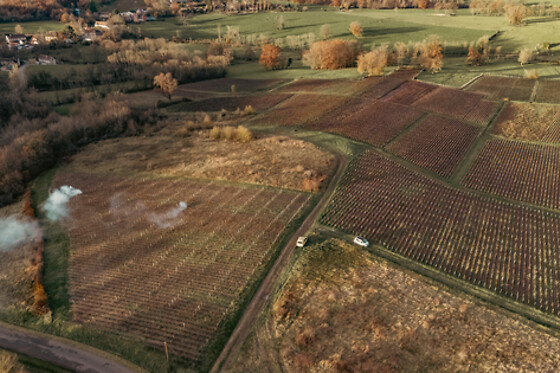 Domaine Bertrand - photo 1