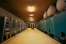 Domaine Bertrand