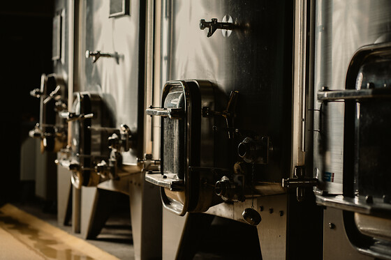 Domaine Bertrand - photo 5