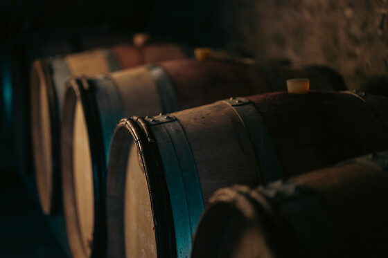 Domaine Bertrand - photo 7