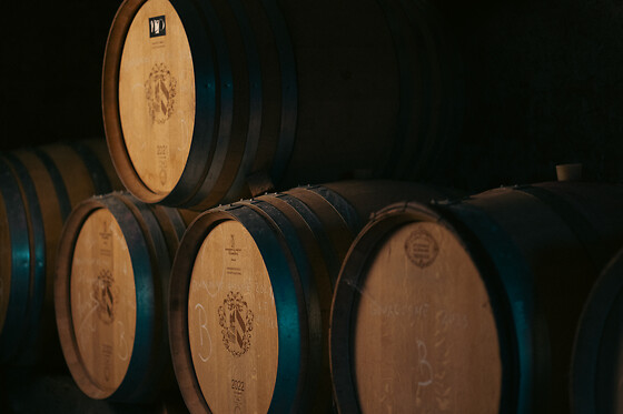 Domaine Bertrand - photo 8