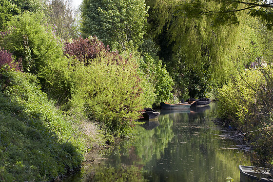 Ô Marais - photo 4