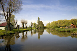 Ô Marais