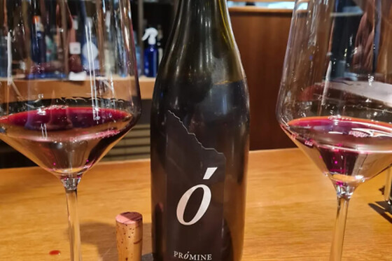 BODEGAS PETRÓN - photo 1