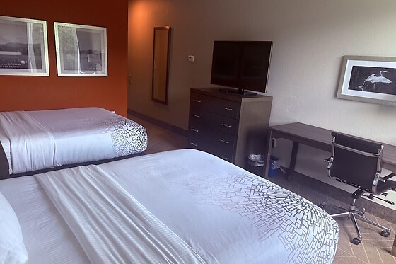 Online Booking EPS - photo 0
