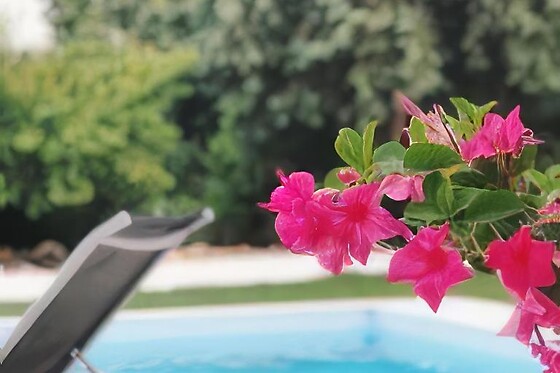 Meio Center Country House - photo 13
