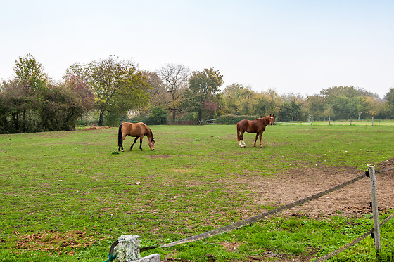 La Treille - photo 13
