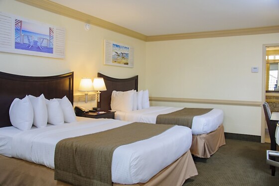 Online Booking EPS - photo 2