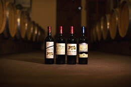 Château Champion - St-Emilion Grand Cru