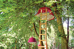 Woody park